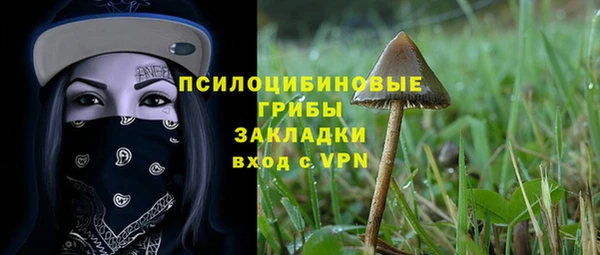соль ск Краснослободск