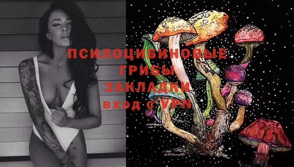 индика Корсаков